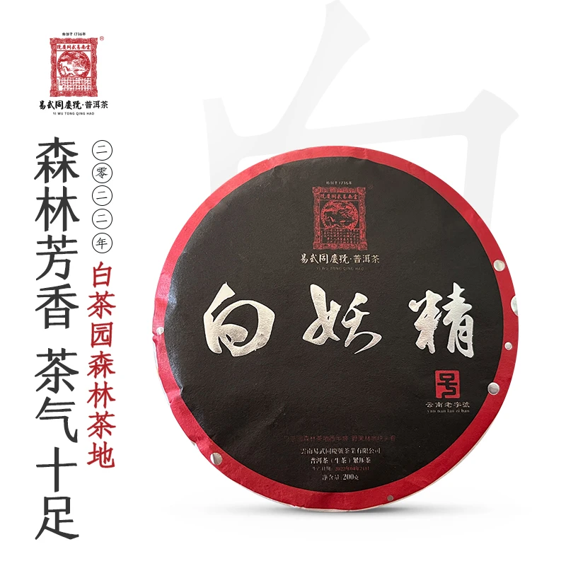 易武同庆号2022年易武白茶园野果林【白妖精】头春定采小生饼200g
