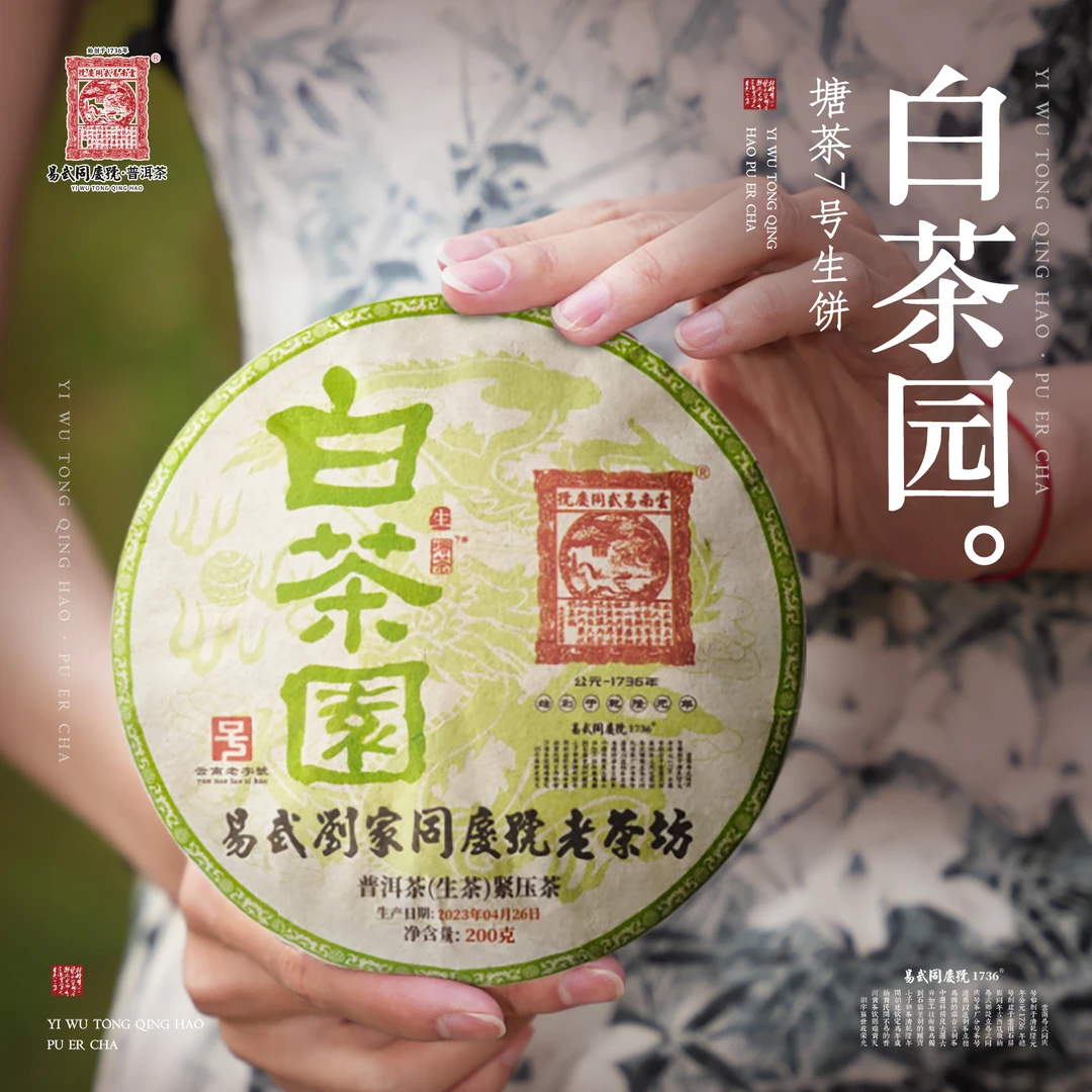 易武同庆号【已售罄】2023年白茶园·刘家老茶坊·塘茶7号·生饼200g