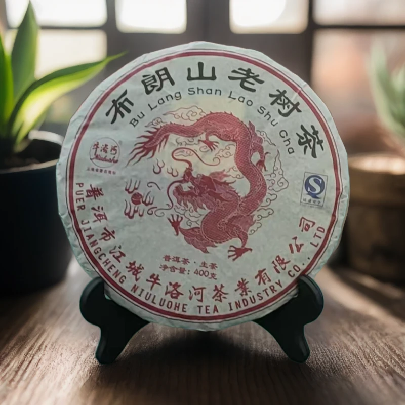 【老茶捡漏】布朗山老树茶2010年普洱茶生茶/400克