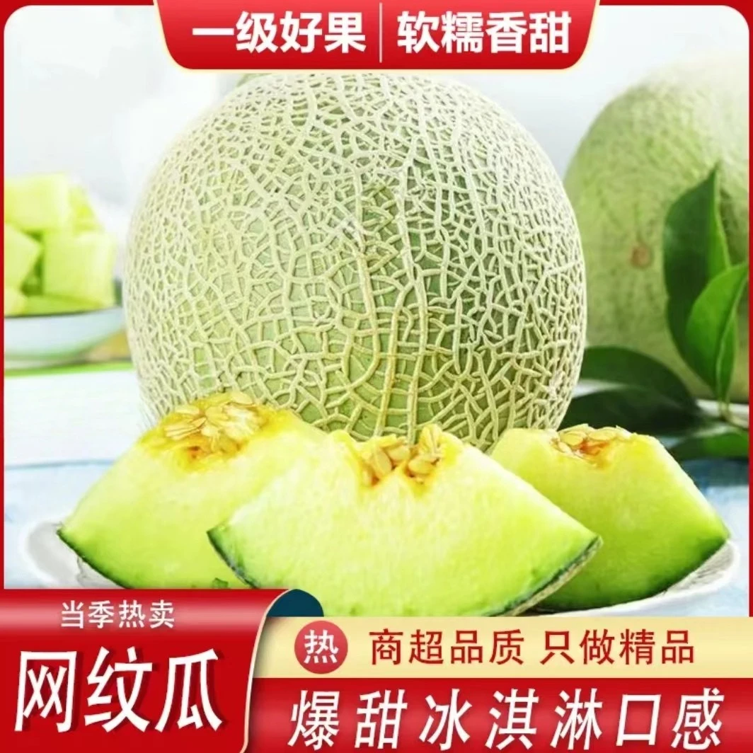 3-9斤山东寿光静冈蜜瓜玫珑瓜网纹瓜冰淇淋瓜肉厚皮薄软糯香甜