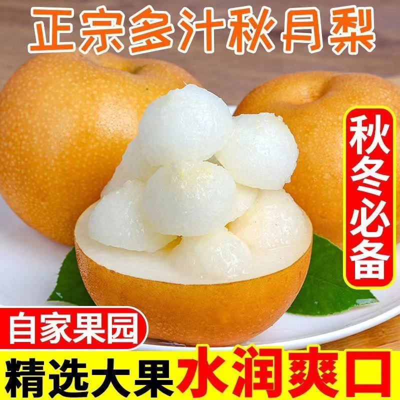 秋月梨3-9斤新鲜水果梨子个头脆梨当季现摘黄皮皮薄香甜
