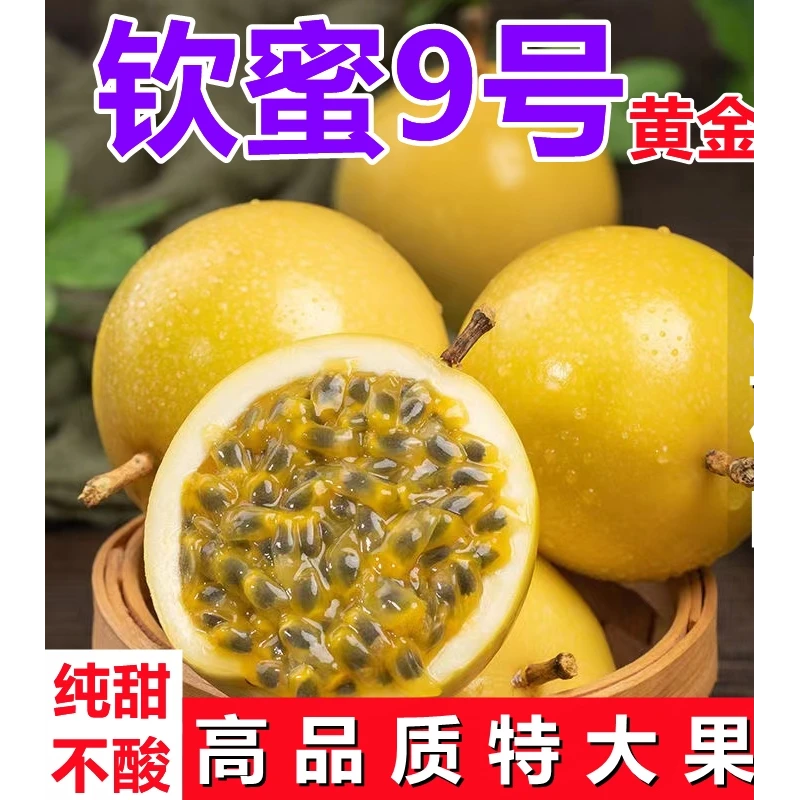 纯甜源自海南黄金百香果树上熟钦蜜9号3-9斤新鲜水果钦密现摘