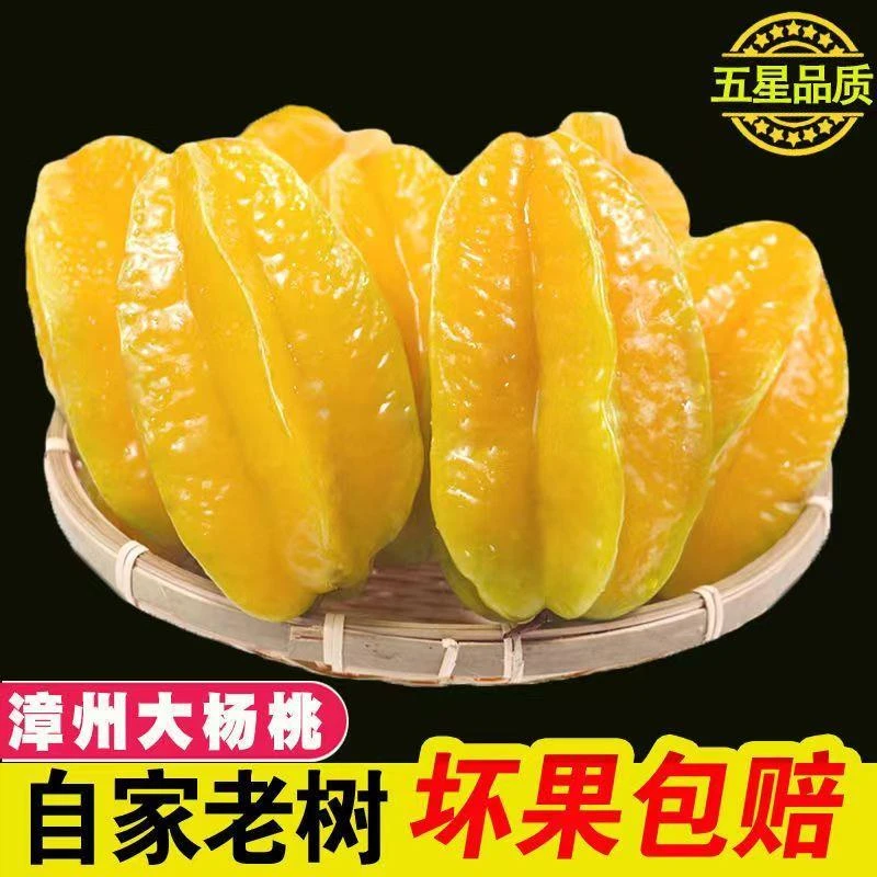福建漳州甜杨桃3/5斤新鲜应季水果现摘树上熟五角星阳桃整箱包邮
