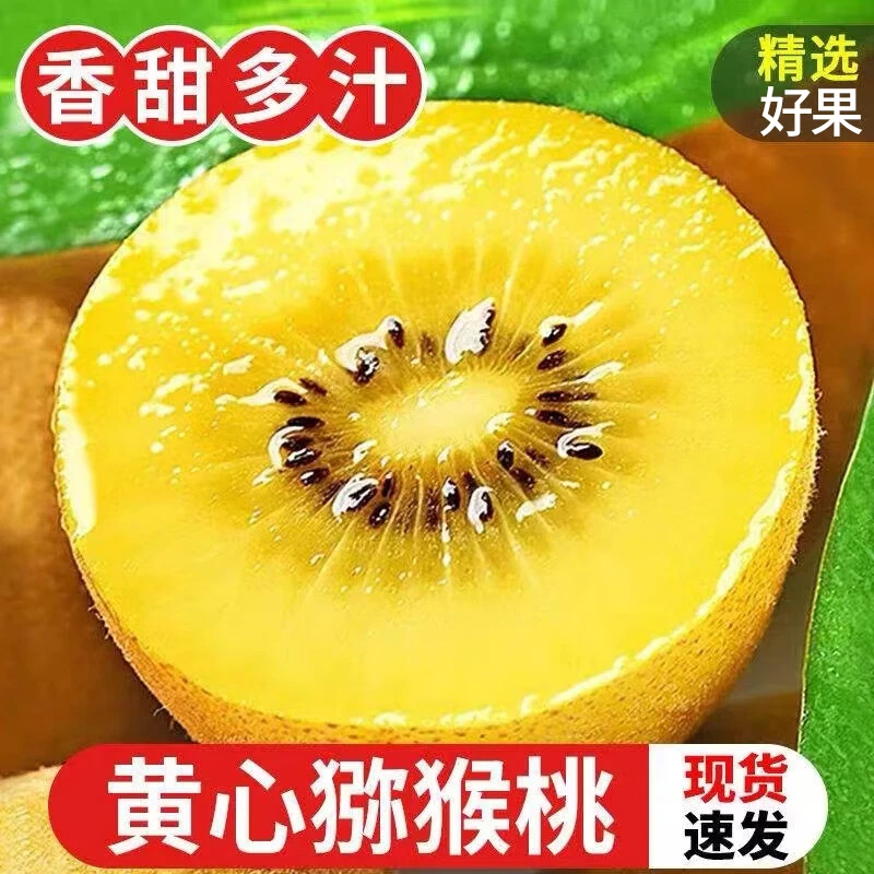 四川蒲江黄心猕猴桃新鲜水果6-30枚应季时令奇异果整箱中大果香甜