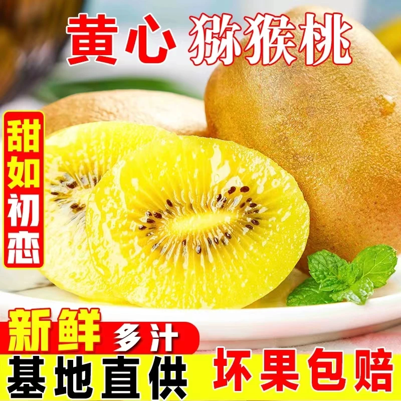 【金桃大果】新鲜黄心猕猴桃奇异果现摘应季时令水果6-30枚水果包邮