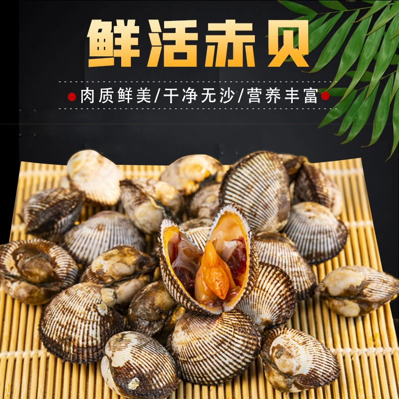 【到手五斤】顺丰冷链包邮当潮水新鲜原浆赤贝日料刺身鲜活赤贝肉