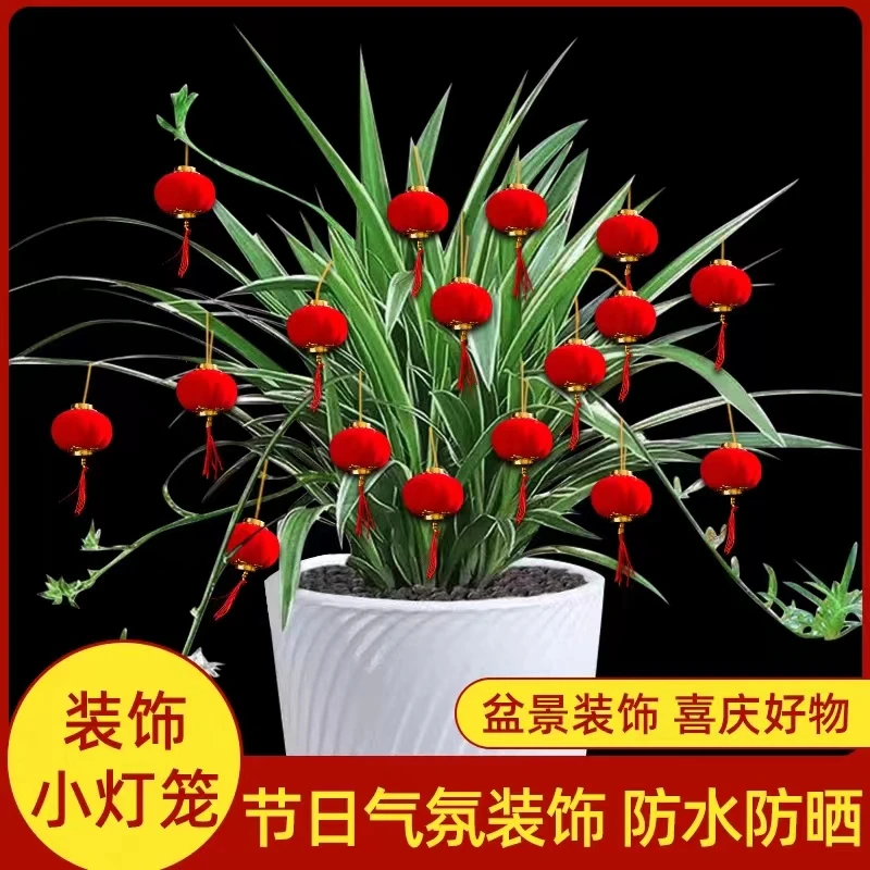 24年新款耐用盆景挂饰高档盆栽挂件植物客厅室内外乔迁富贵竹花草