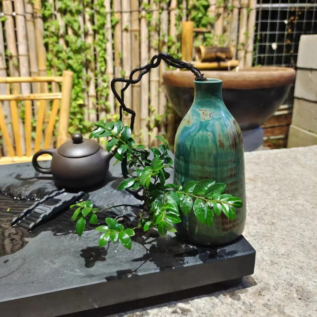 【睿景园精选】黑骨茶  茶桌客厅摆件   迷你小盆栽  盆景 一物一拍
