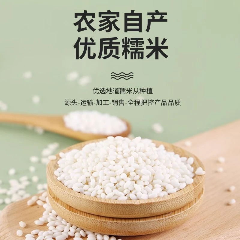 农家圆糯米制作包粽子甜酒酿大圆粒白糯米食用香甜颗粒饱满营养