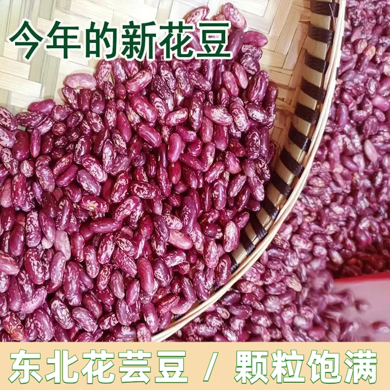 东北紫花芸豆今年新豆酸菜豆四季豆花芸豆农家红芸豆干净无杂饱满