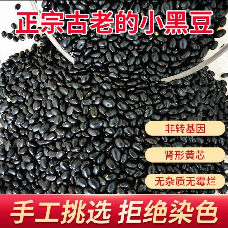 农家自产黄心黑豆肾形营养黄心小黑豆老品种醋泡生豆芽打豆浆批发