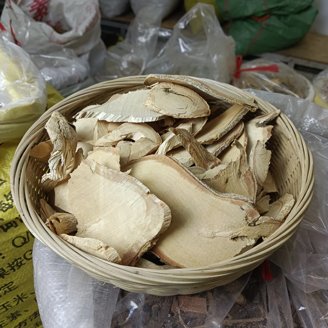 三桠苦根 广东客家山区采挖 三丫苦根茎