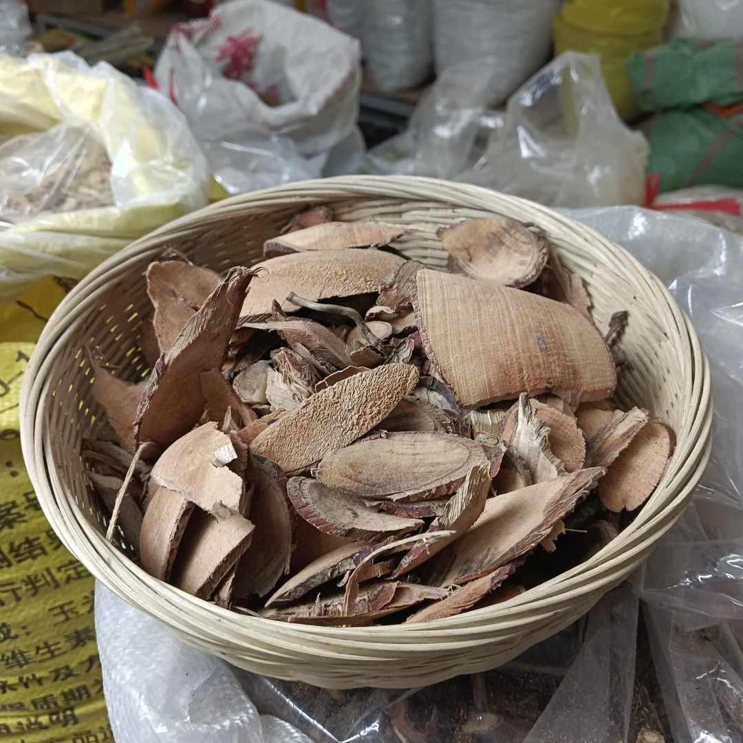 珊瑚树 广东大山 早禾树 月单根茎