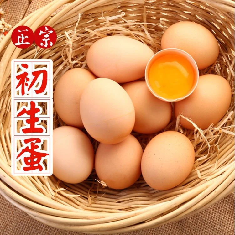 【初生蛋 外表有泥】百食轩 正宗大别山新鲜土鸡蛋草鸡蛋 破损包赔