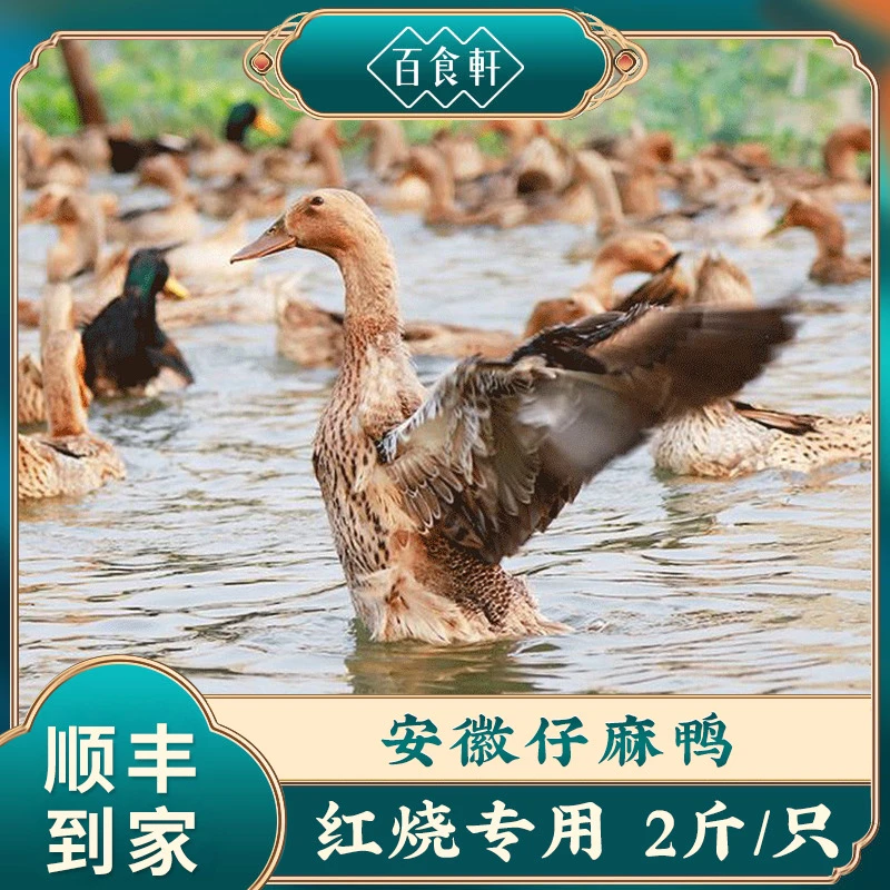 【百食轩】安徽仔麻鸭2斤/只