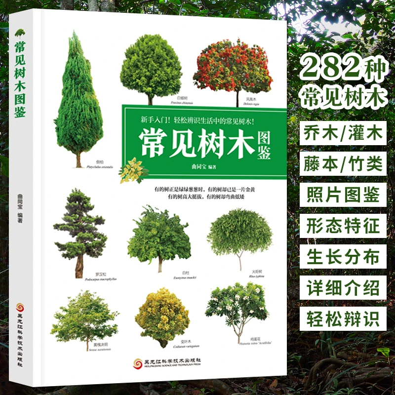 常见树木图鉴 植物识别书籍大小学生植物百科书青少年书籍