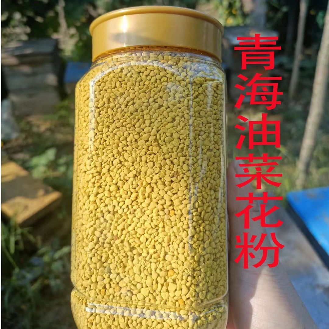 新鲜青海油菜花粉自然晾晒假一赔十蜂场直发大颗粒