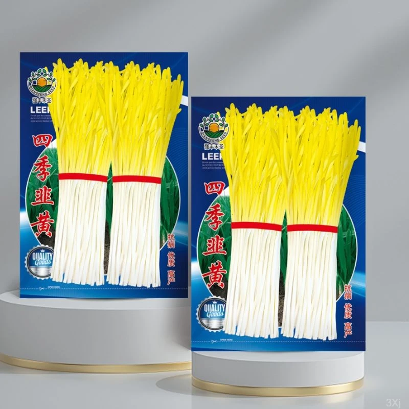 韭黄种子春黄秋冬季金韭菜籽蔬菜种孑杆韭菜籽四季盆栽韭黄韭黄