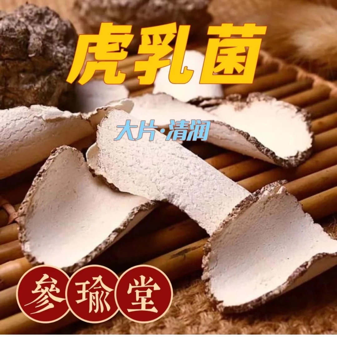 精选鱼胶 滋补虎乳菌