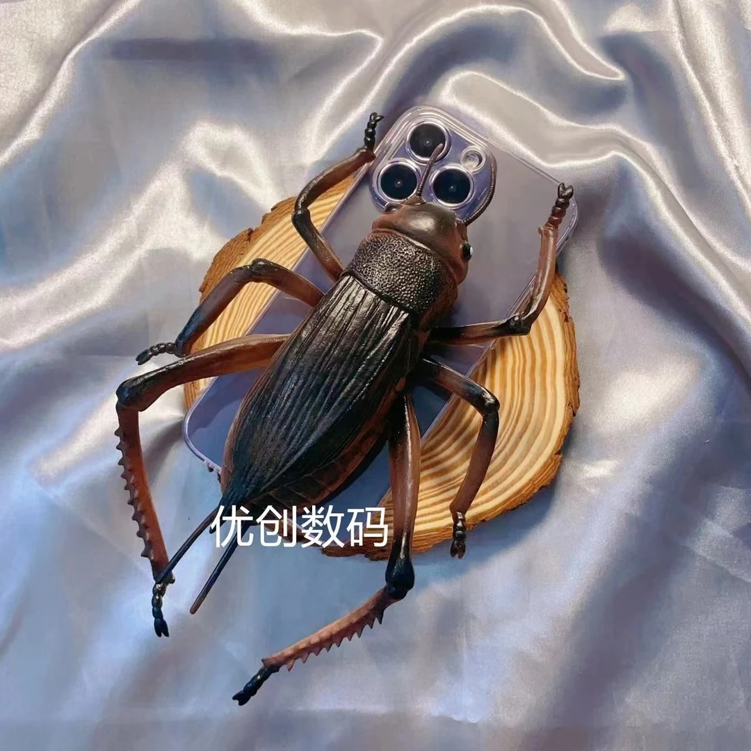 适用苹果/华为荣耀/OPPO/VIVO/小米/一加恶搞仿真蟋蟀全包手机壳