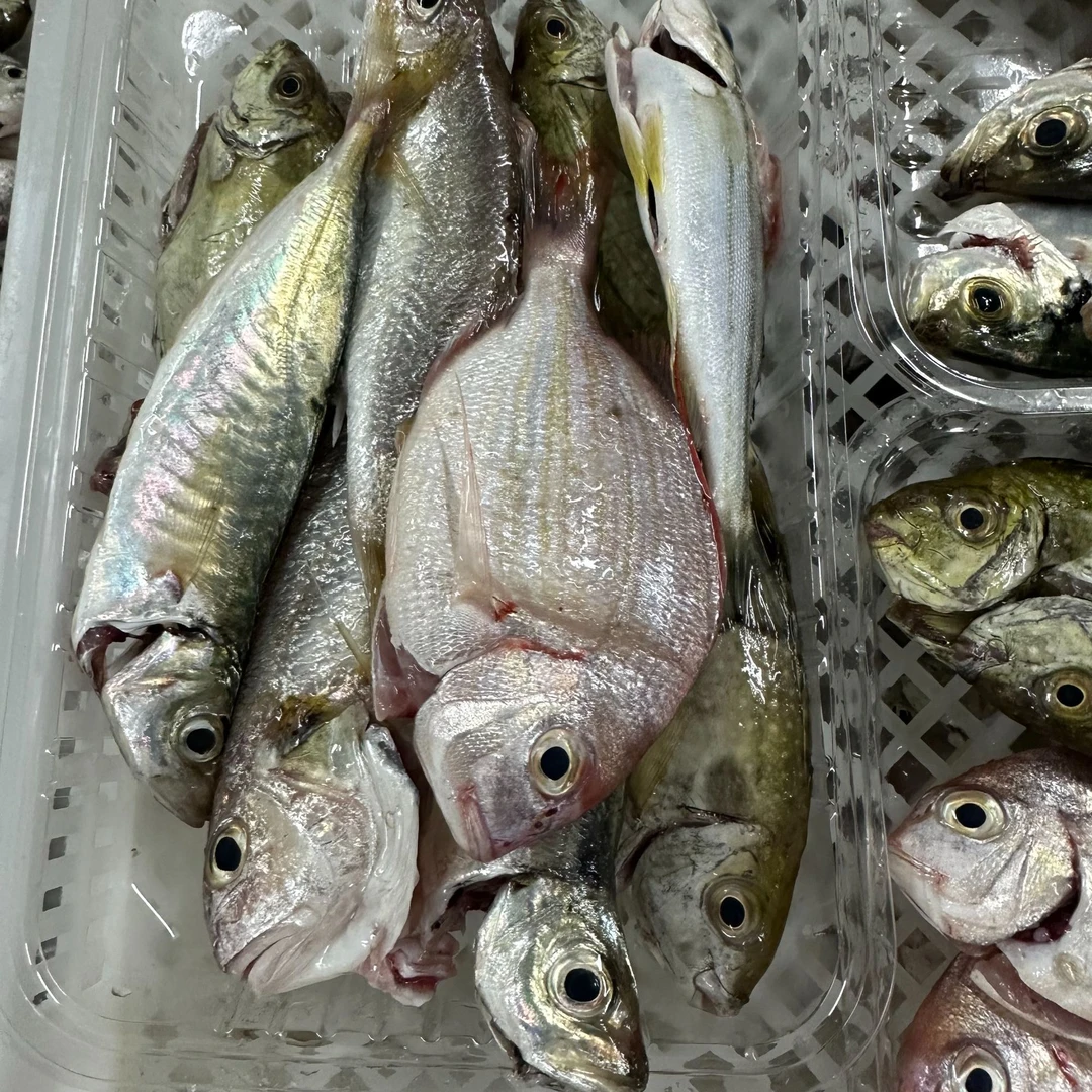 4盒新鲜速冻小杂海鱼 400克/盒 顺丰包邮