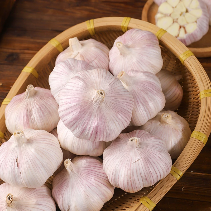 【新干蒜】紫白皮大蒜头干蒜5斤紫白皮0.5斤起包邮可种植食用