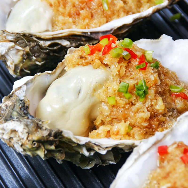 龙辉甄选精品乳山（2+）生蚝 鲜嫩美味现拍现发 福建泉州发货