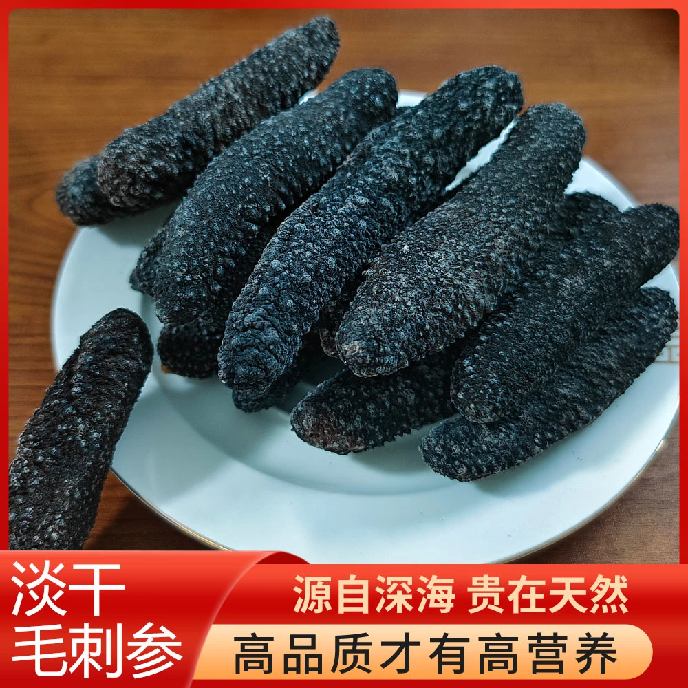 【毛刺海参】大海邦和 毛刺参一斤装肉质细嫩软硬适中家庭食用实惠