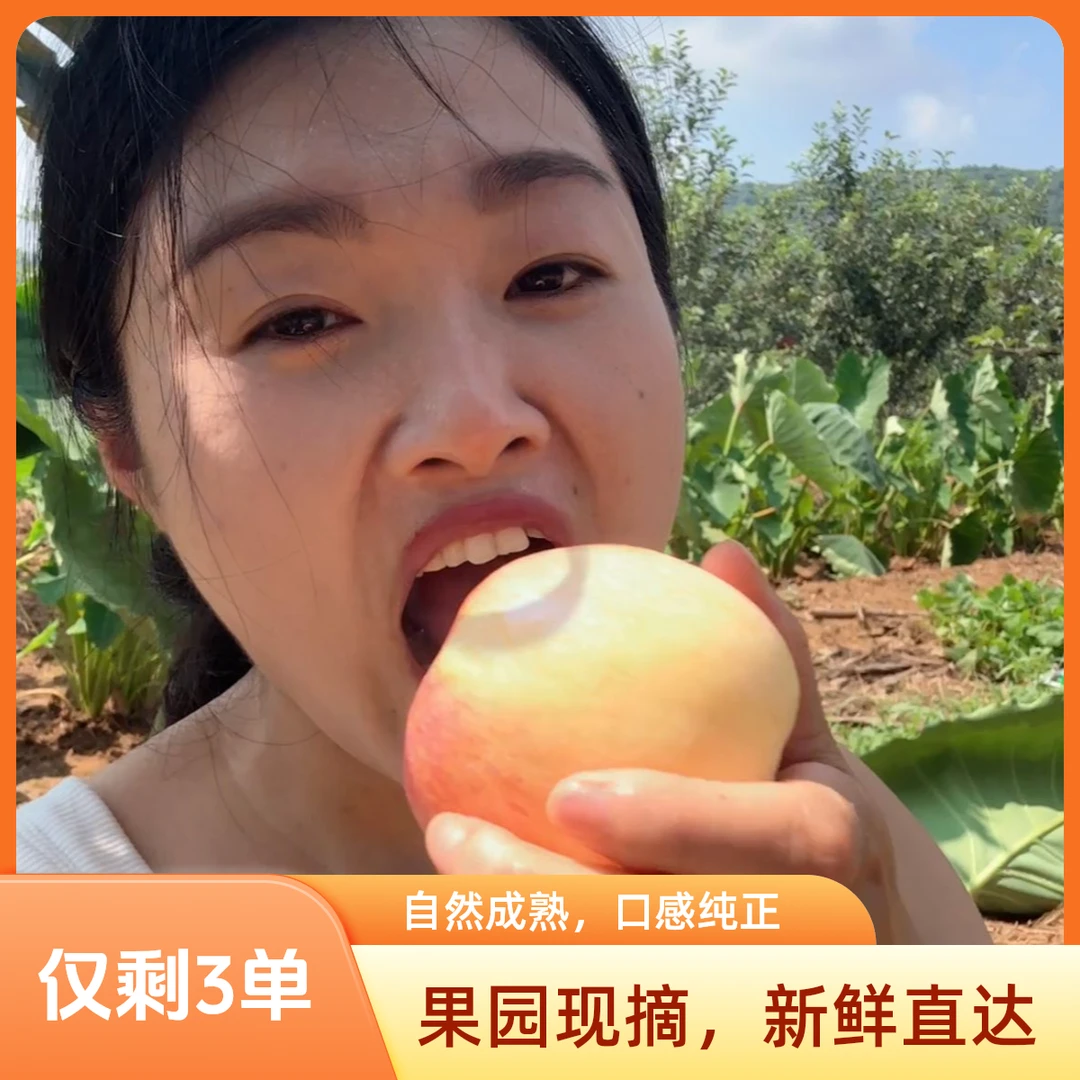 烟台高山 鲁丽 苹果  自然营养 天然好吃 新鲜采摘  4斤 现摘现发