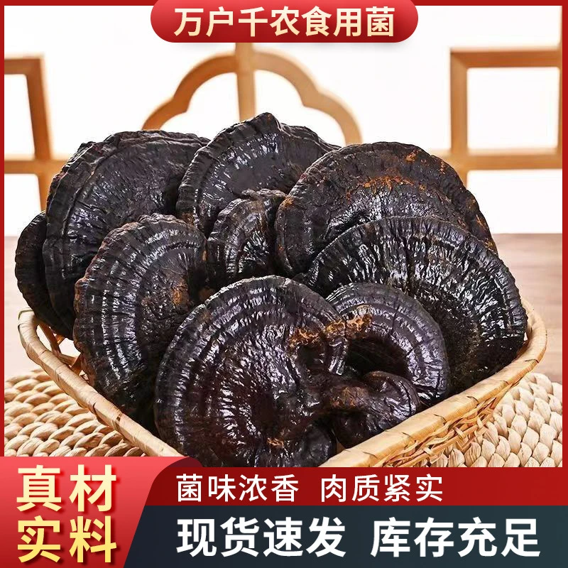 正宗长白山灵芝紫灵芝黑灵芝不苦灵芝精选新货产地直发农家自产