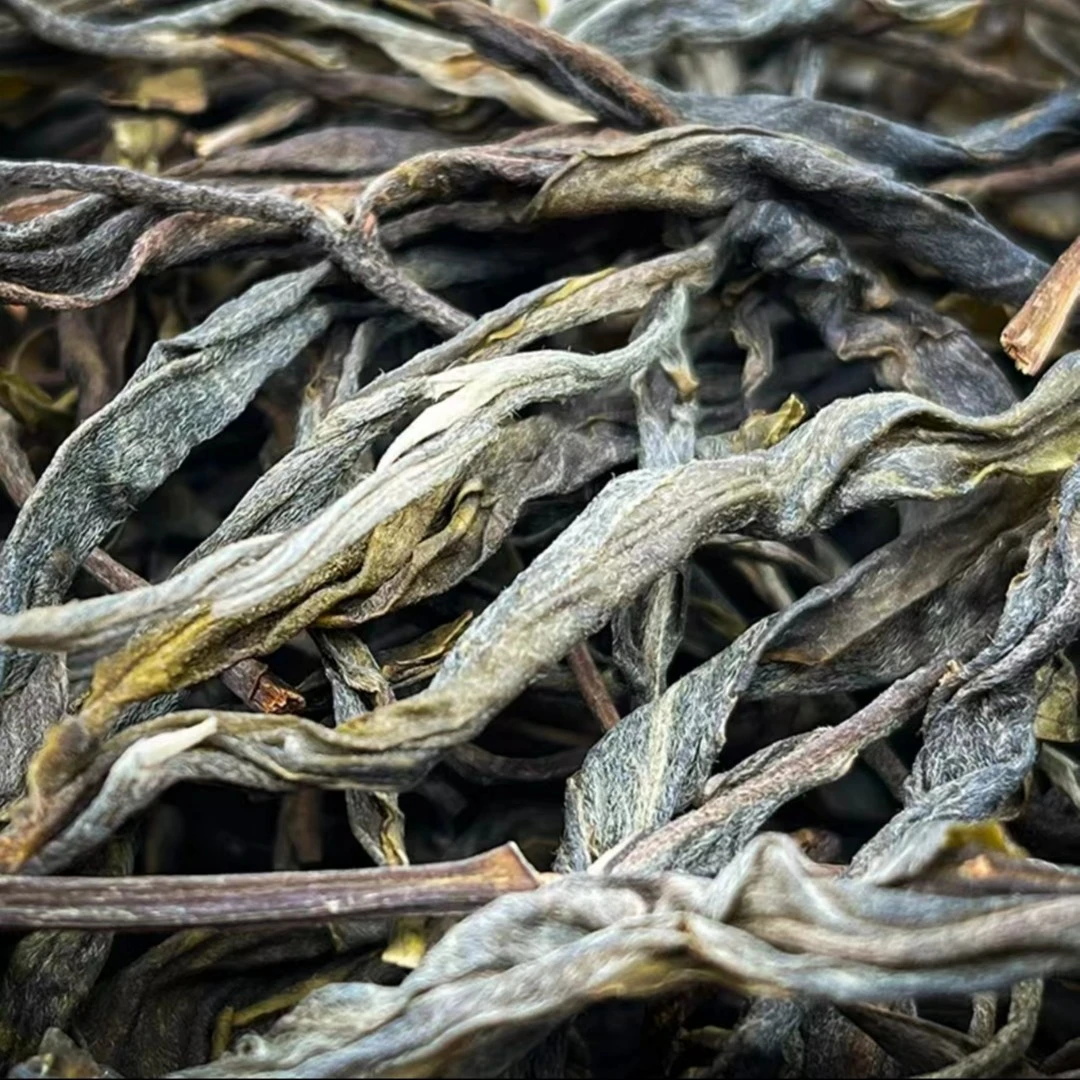 【黄草林古树】2021年春普洱生茶散茶