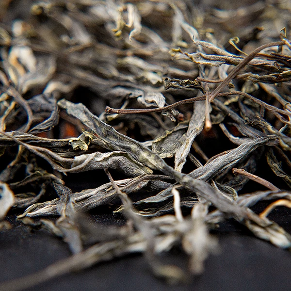 【正气塘古树】2024年春普洱生茶散茶