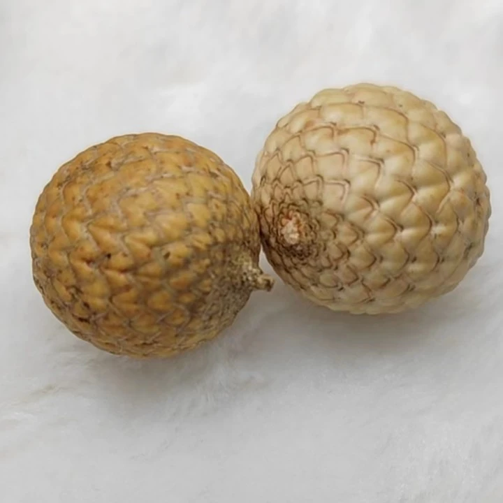 原生态海南料星月菩提定制链接{以直播间实物上架为准}