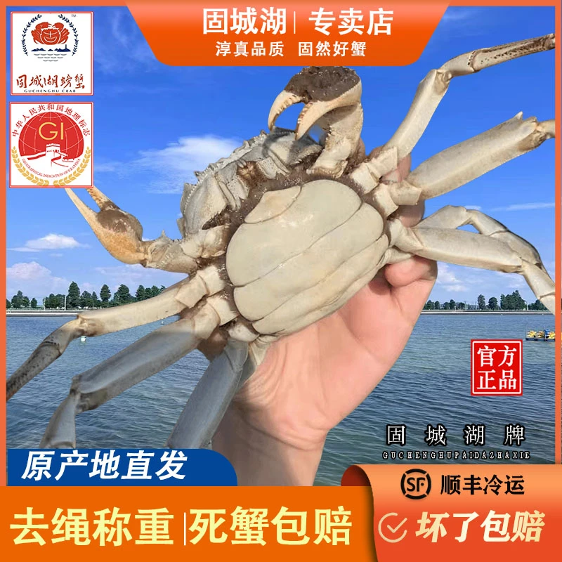 固城湖【活蟹】 公蟹4两 母蟹3两 8只装活螃蟹直播专属