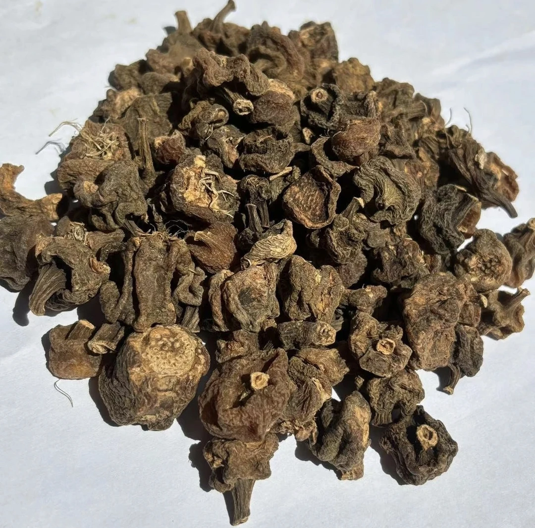 缅山特产 正宗 龙苓石斛 250克/500克 煲汤 煮水 食用正品