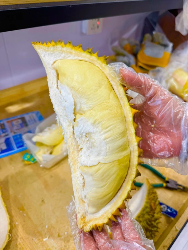 金枕树熟榴莲（默认开果）