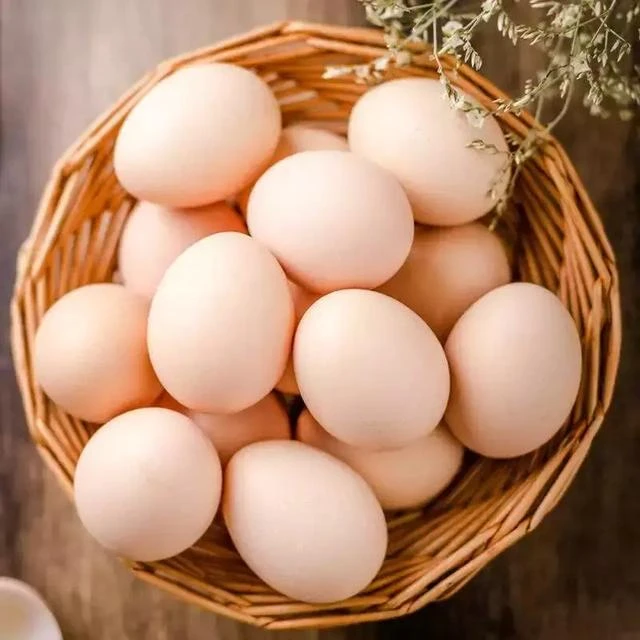 鲜鸡蛋 30枚/板（约3.5斤）