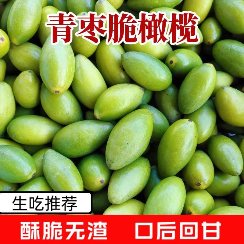 青枣脆橄榄青橄榄鲜果新鲜生吃煲汤酥脆无渣榨汁水果橄榄零食1斤