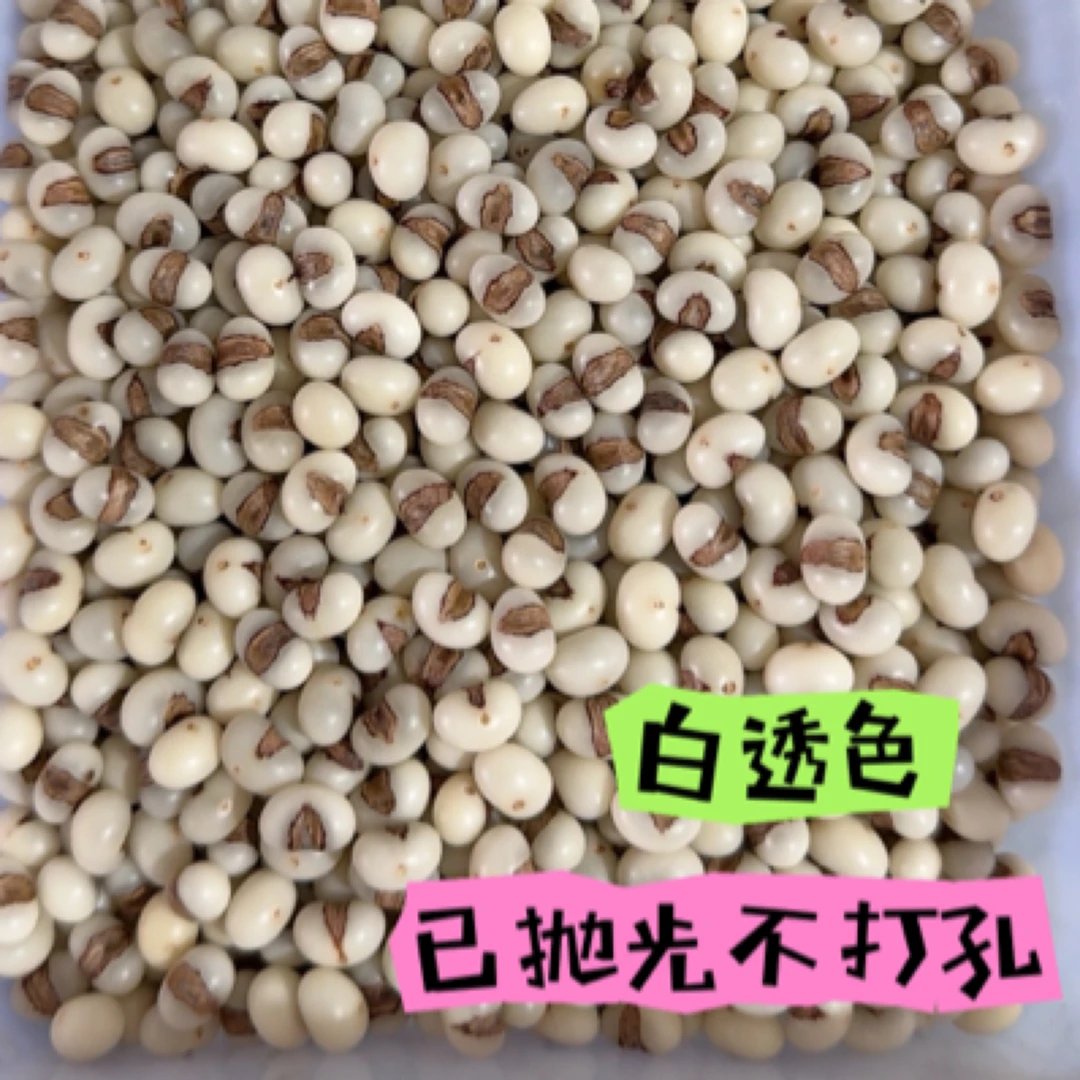 棕榈子金佛草手串手环DIY散珠（已手工抛光不抠心不打孔）