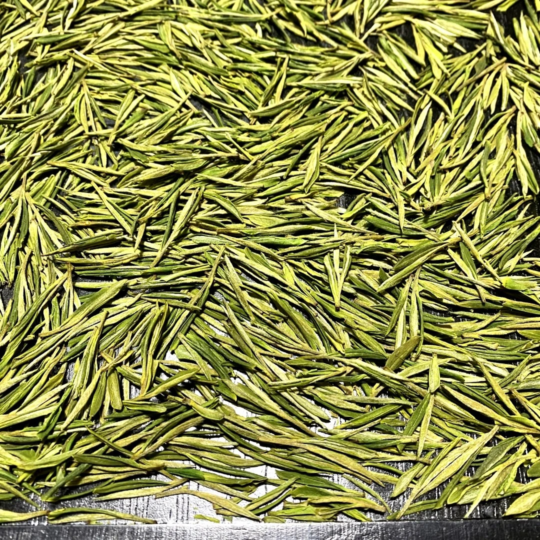 韵茶亭2023【正味兰花香】正宗安吉白茶原产地安吉溪龙发货 好喝