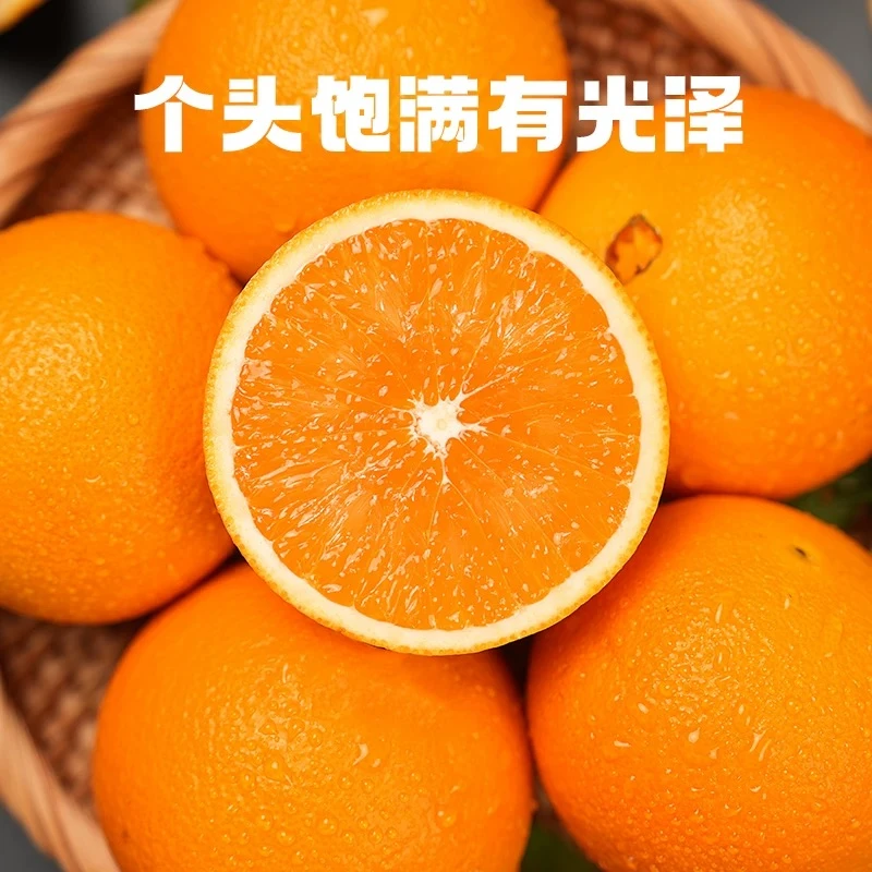 秭归九月红脐橙12枚至尊礼盒