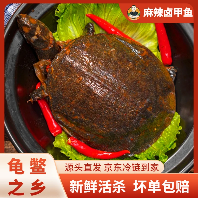 【京东发货】龟鳖之乡麻辣小甲鱼加热即食新鲜现卤250g