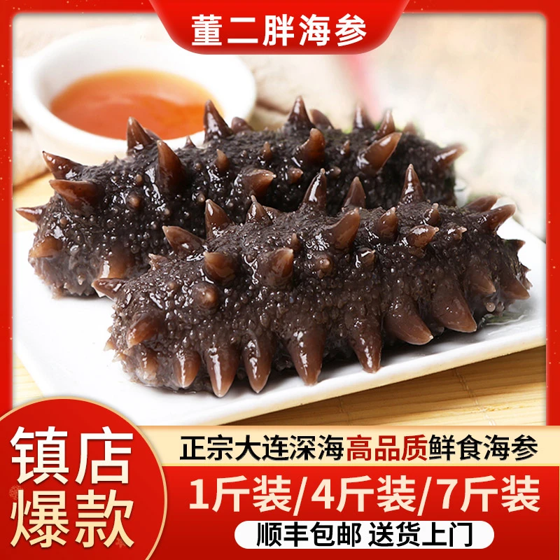 董二胖董二胖【商城专属】 鲜食海参营养肉质产地产地