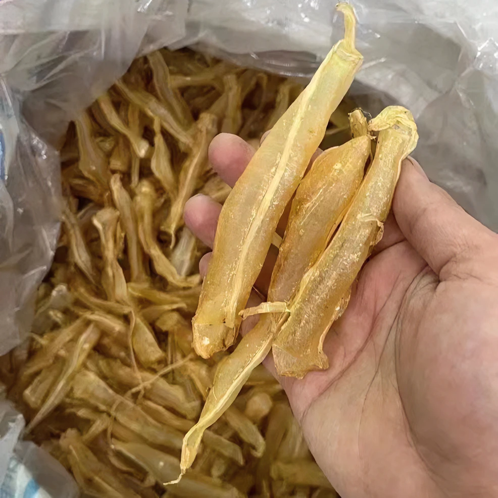 ［毅源］双须金龙鱼胶花胶 胶质丰富