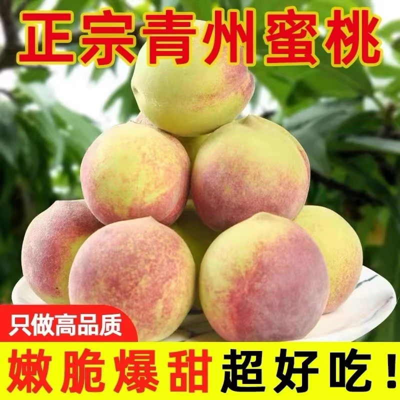 冬雪蜜桃小冬桃桃子脆甜毛桃3/5斤(现摘现发)水蜜桃