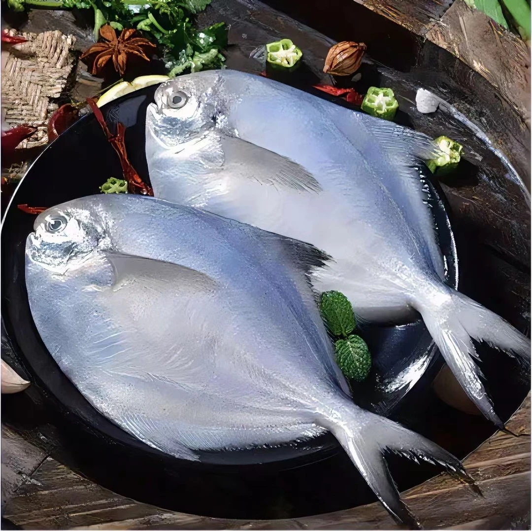 新鲜海捕银鲳鱼 （每包6条）速冻发货
