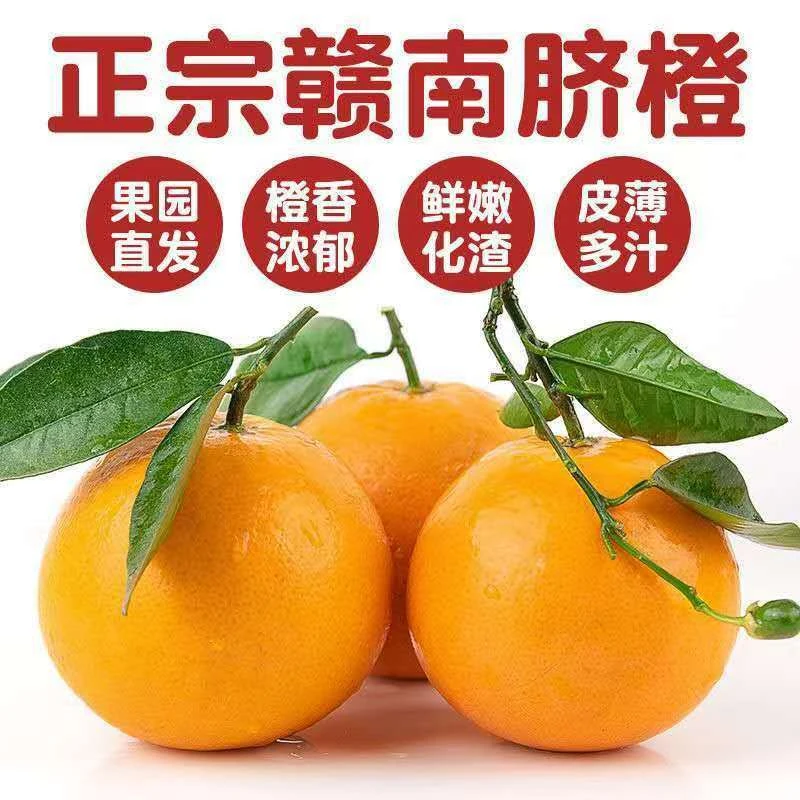 【现摘现发】正宗江赣南脐橙皮薄甘甜自家果园当季新鲜孕妇水果