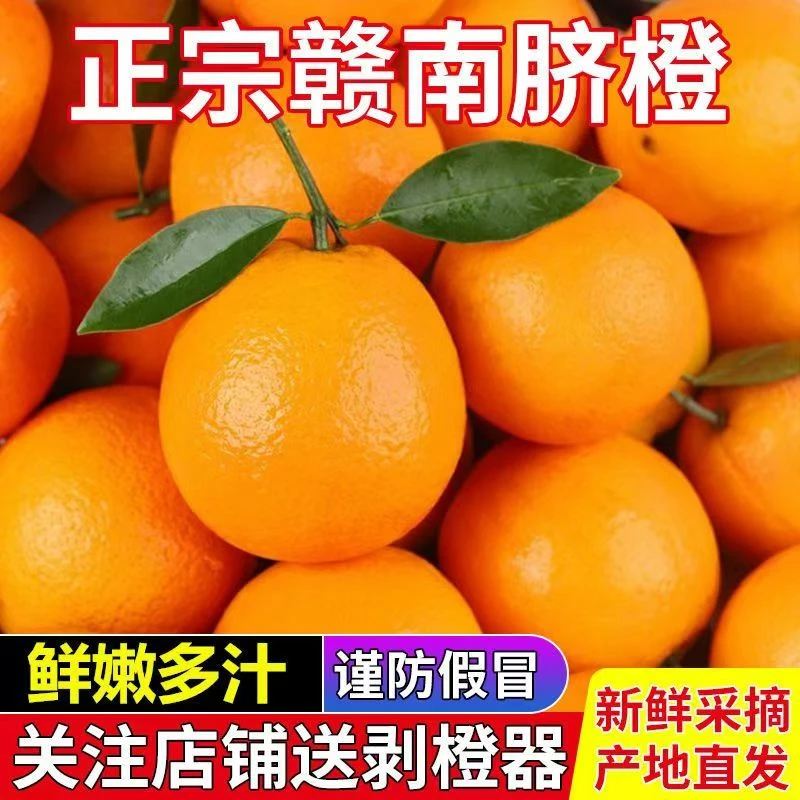 正宗赣南脐橙果园直发正宗赣南脐橙薄皮新鲜橙子现摘水果整箱甜橙