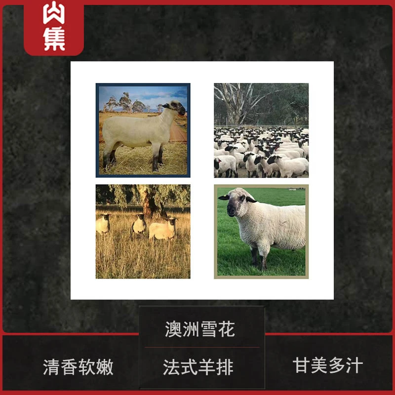 冰鲜澳洲法式羊排 原包1kg起