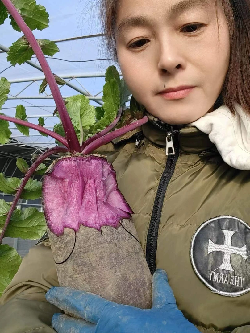 富硒津道1号/脆甜多汁/富含丰富花青素/坏果包赔